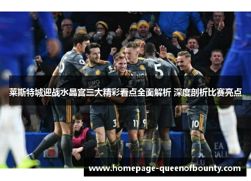 莱斯特城迎战水晶宫三大精彩看点全面解析 深度剖析比赛亮点