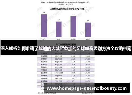 深入解析如何准确了解加的夫城所参加的足球联赛级别方法全攻略指南