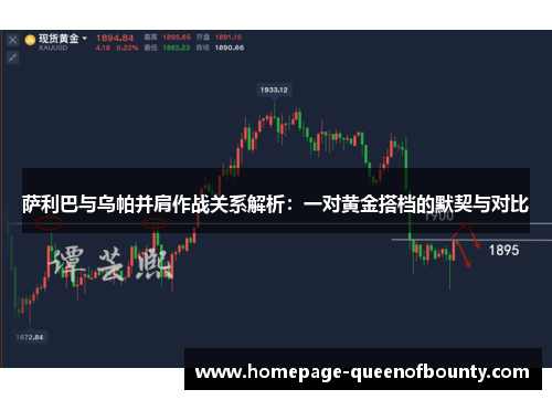 萨利巴与乌帕并肩作战关系解析:一对黄金搭档的默契与对比 萨利巴与乌帕并肩作战关系解析:一对黄金搭档的默契与对比