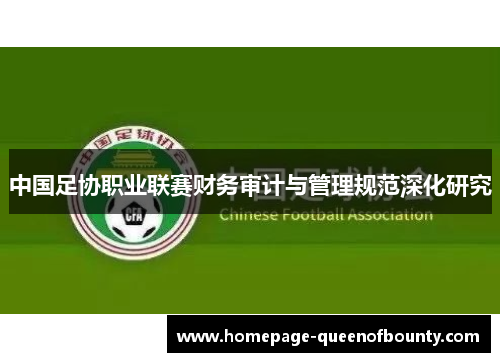 中国足协职业联赛财务审计与管理规范深化研究