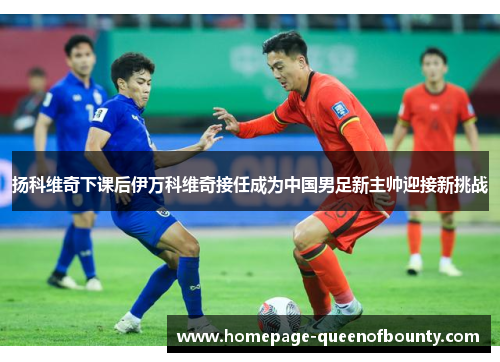 扬科维奇下课后伊万科维奇接任成为中国男足新主帅迎接新挑战